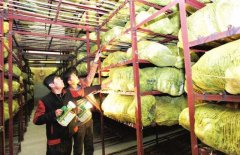 蔬菜冷庫(kù)能保鮮多久，造價(jià)是多少