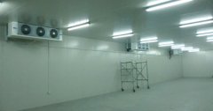 5000噸大蒜需建多大冷庫，冷庫造價多少錢