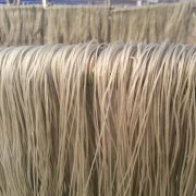 建造一個500噸粉絲冷庫造價多少？