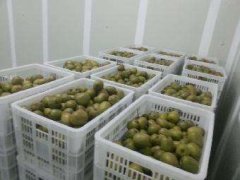 4000立方氣調(diào)冷庫(kù)安裝要多少錢？