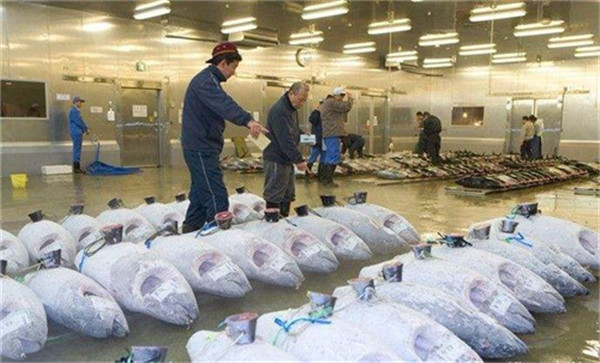 　水產冷庫、三文魚生魚片冷庫