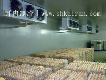 禽蛋保鮮冷庫，鵪鶉蛋冷庫
