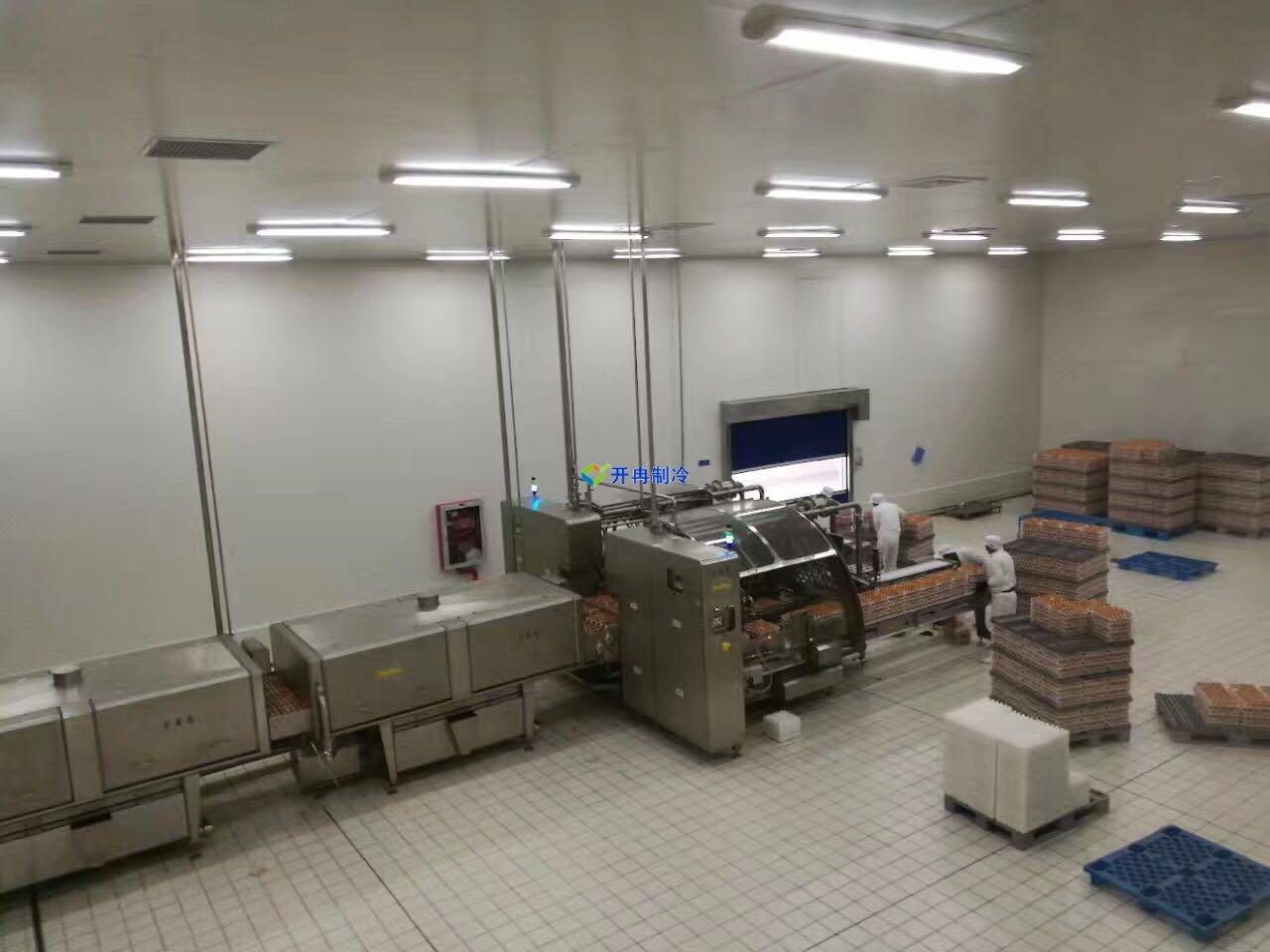 低溫700立方米冷凍庫冷庫報價單，肉類冷庫設計方案