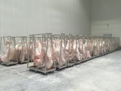 拼裝式冷庫建造工程造價，-18℃豬肉冷凍庫設備